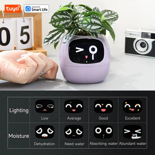 Ivy Smart Plant Buddy