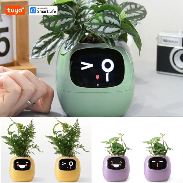 Ivy Smart Plant Buddy